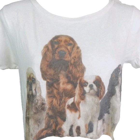 Wildfox Spaniel Dogs Graphic Tee - Picture 2 of 5